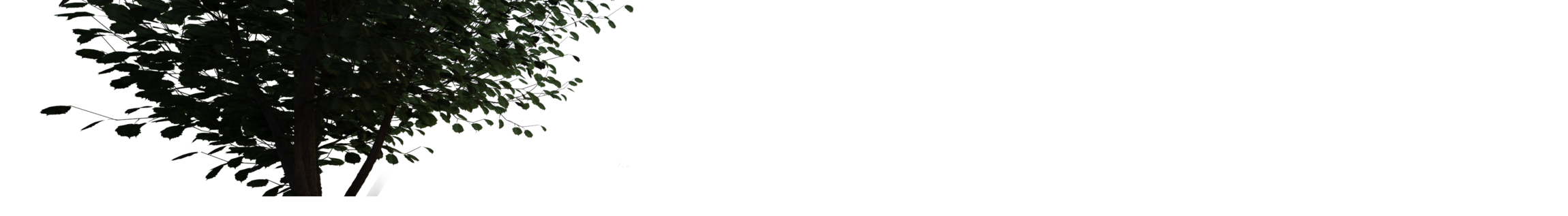 Cassita II