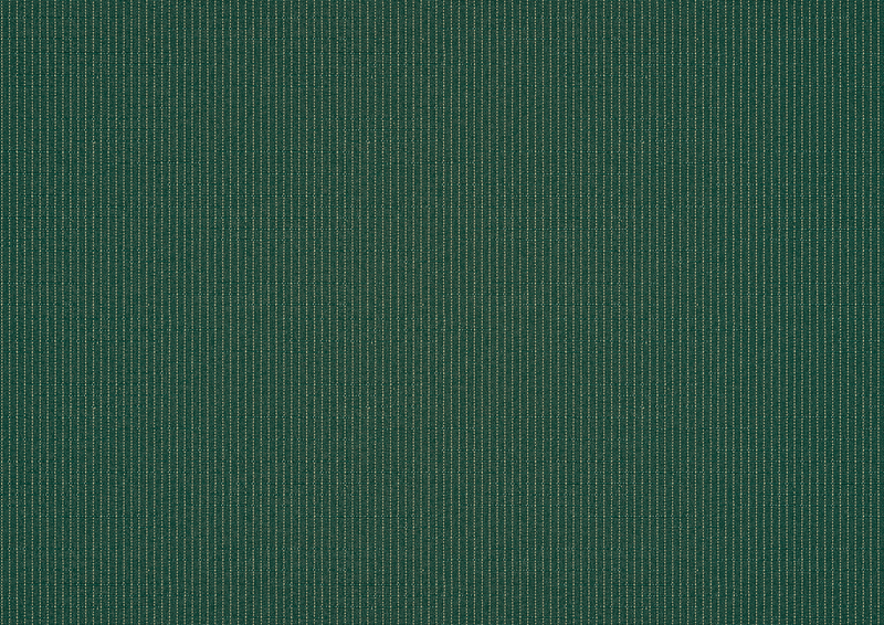 Awning fabric: spruce (Pattern no.: A | 3-858), Collection: hi hello!, View: Incident light