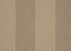 sahara sahara