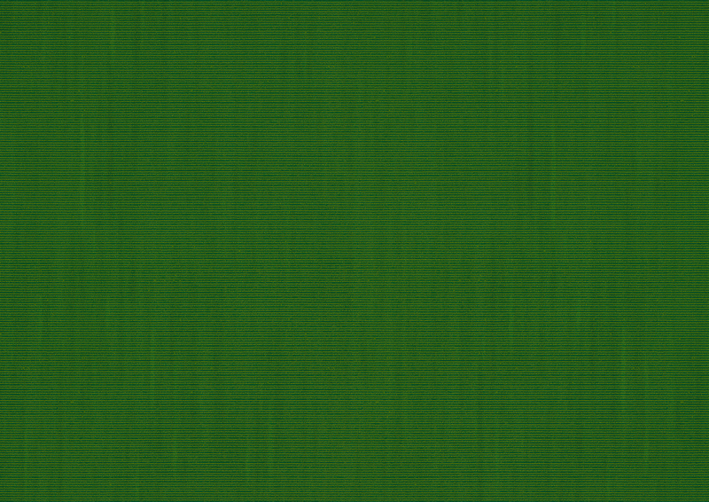 Awning fabric: fern (Pattern no.: A | 3-860), Collection: hi hello!, View: Transmitted light