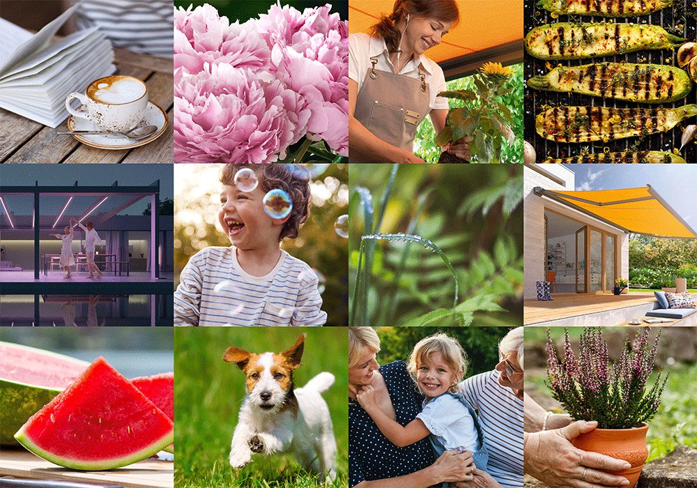 A grid of various images featuring flowers, food, a child playing, a dog, and people enjoying time together.