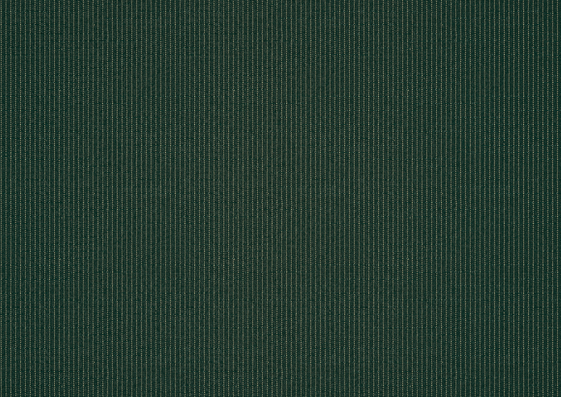 Awning fabric: spruce (Pattern no.: A | 3-858), Collection: hi hello!, View: Transmitted light