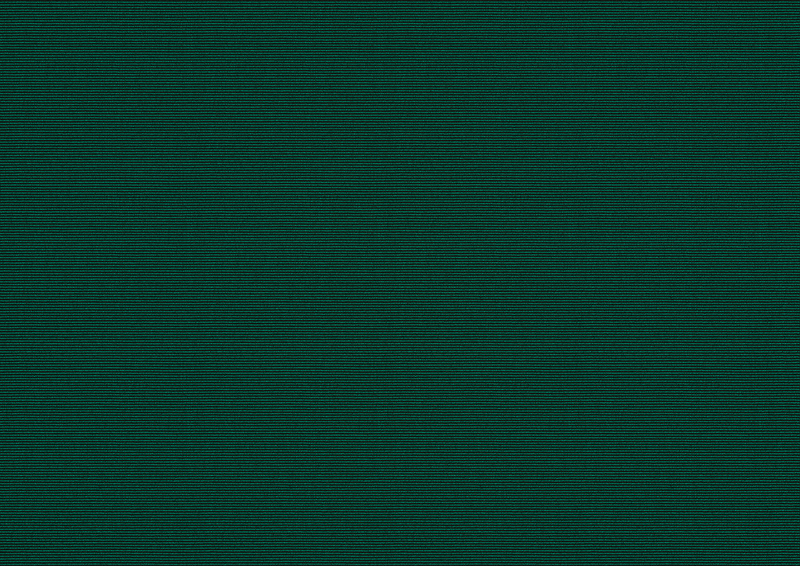 Awning fabric: forest (Pattern no.: A | 3-853), Collection: hi hello!, View: Incident light