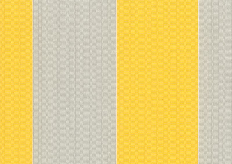 Fantasy stripes