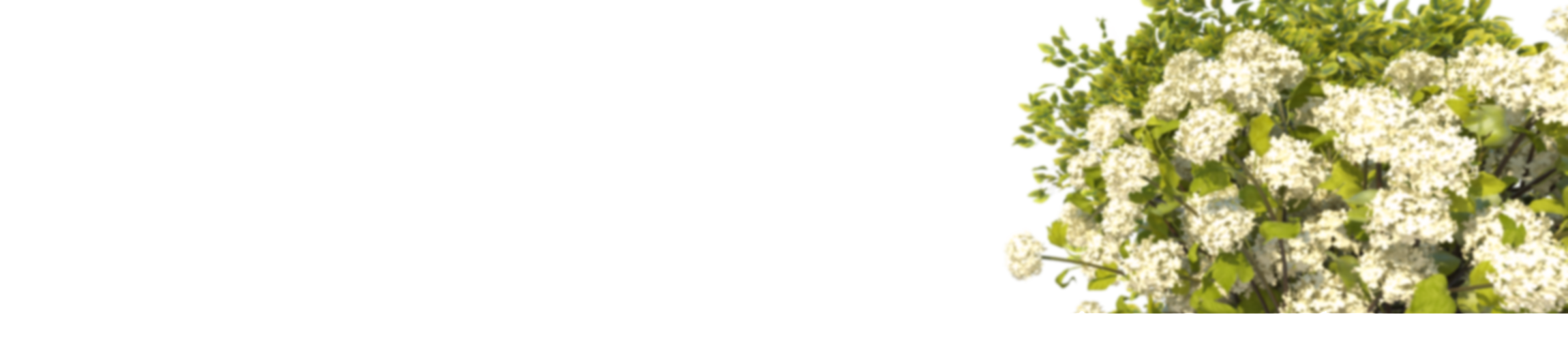 Opal Design II