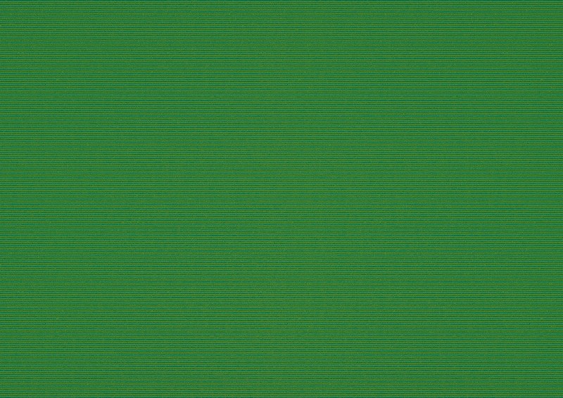 Awning fabric: fern (Pattern no.: A | 3-860), Collection: hi hello!