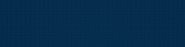 Fabric Pattern no.: P| 6-400, Collection: my collections Fabric Pattern no.: P| 6-400, Collection: my collections