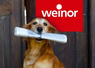 A golden retriever holding a rolled-up newspaper in its mouth, with a bright red background featuring a logo. 