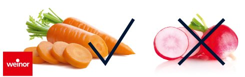 Image shows orange carrots with green tops on the left and pink radishes crossed out on the right.